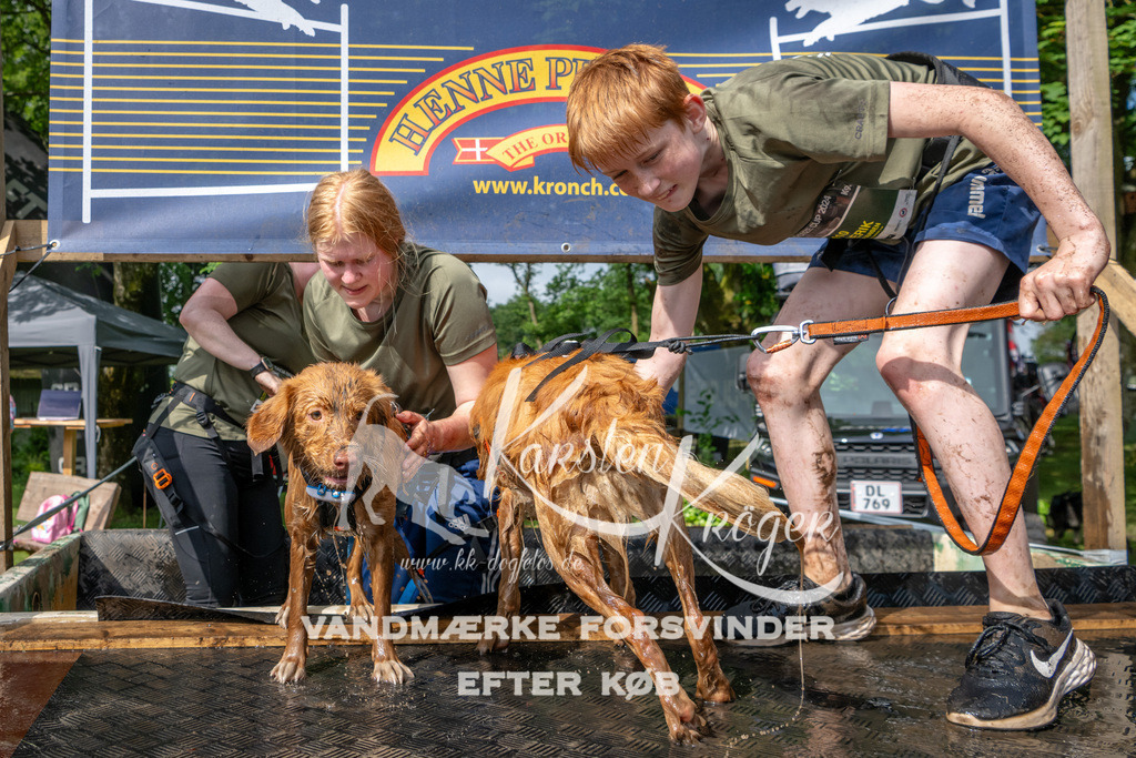 0906_ZZ93566 | kk-dogfotos