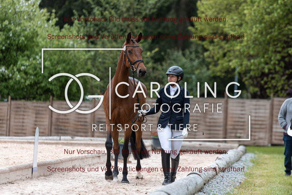 DSC_7088 | Turnierfotografin Carolin Gieschke,Reitsport Turnierfotografie Carolin G Fotografie | Turnierfotos aus Kirchheim/Teck, Esslingen, Stuttgart und dem Bodenseekreis