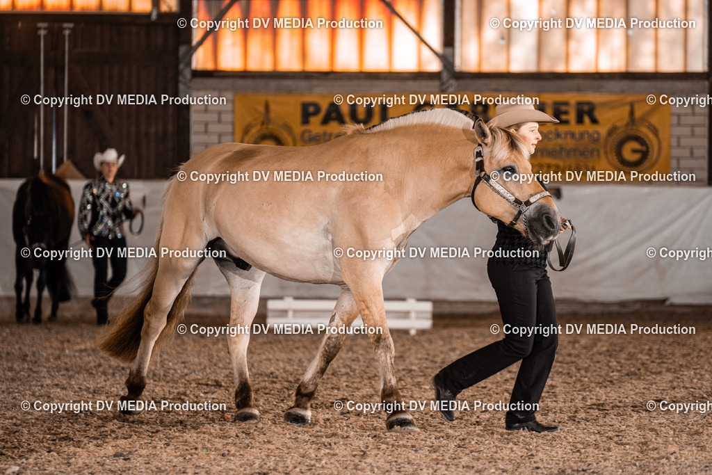 ZH100076 | dv-media-shop - Realisiert mit Pictrs.com