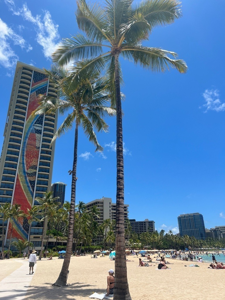 IMG_7811 | ace - Realisiert mit Pictrs.com