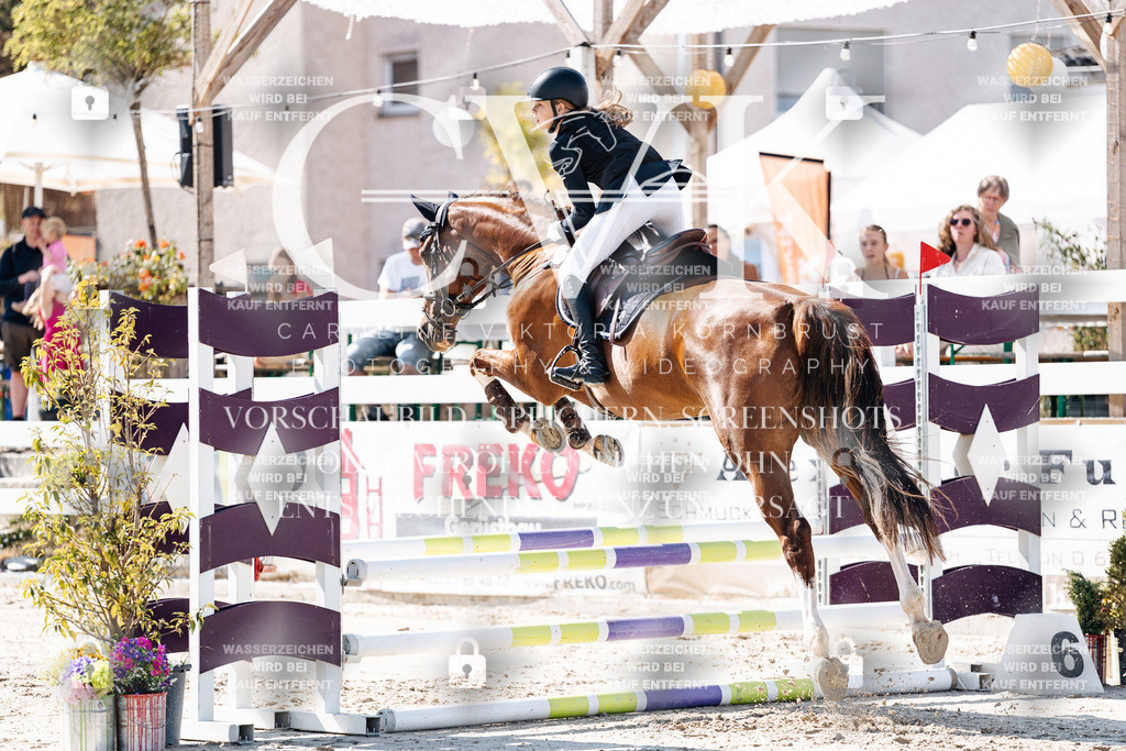 CK905219 | Turnierfotografie Pferdefotografie Trier Rheinland-Pfalz Pferdesport Reitsport Tierfotografie Sportfotografie Pferdevideo Pferdevideografie Equestrianvideography equestrianphotography  - Realisiert mit Pictrs.com