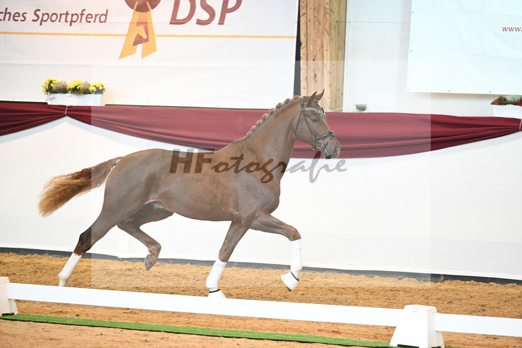 Kat-Nr. 74 v. Le Formidable_Maier_66220343 | hf-fotografie - Realisiert mit Pictrs.com