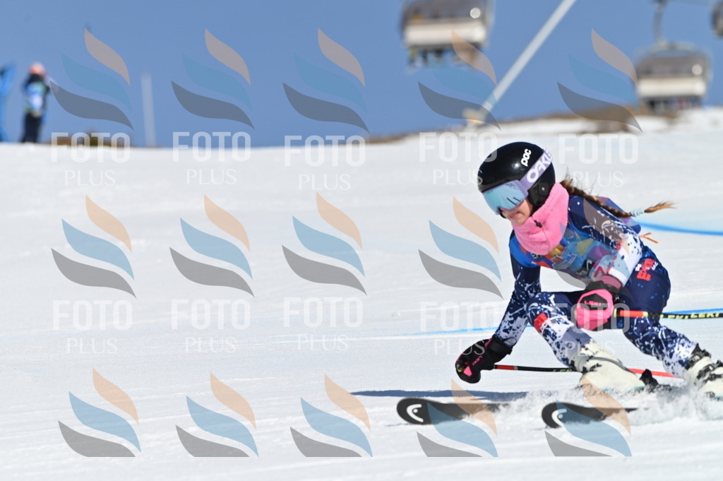 BGV_7904 | holidayphoto