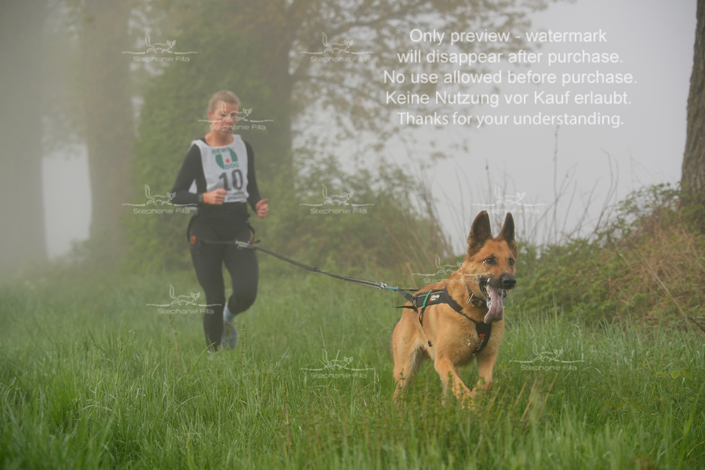 SA_GL2-58 | stephaniefillaphotographie - Realisiert mit Pictrs.com