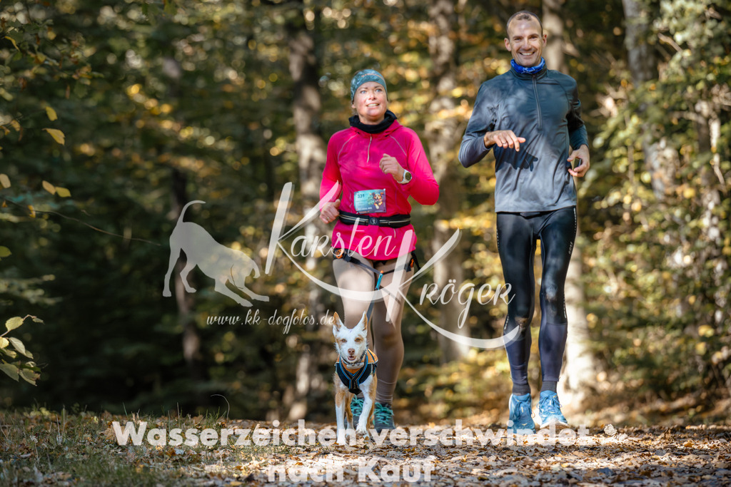 1210_ZZ94397 | kk-dogfotos