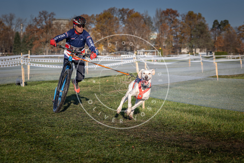 CaniXpix_0L8A4122 | Hundefotografie, Tierfotograf, Pfotenfotografie, Fotoshooting Hund, Hunde Portrait, Hundesport, Hundeportraits, Heideshooting, Hunde, Sportfotograf, Hundefotograf, Turnierhundsport, THS,  - Realisiert mit Pictrs.com