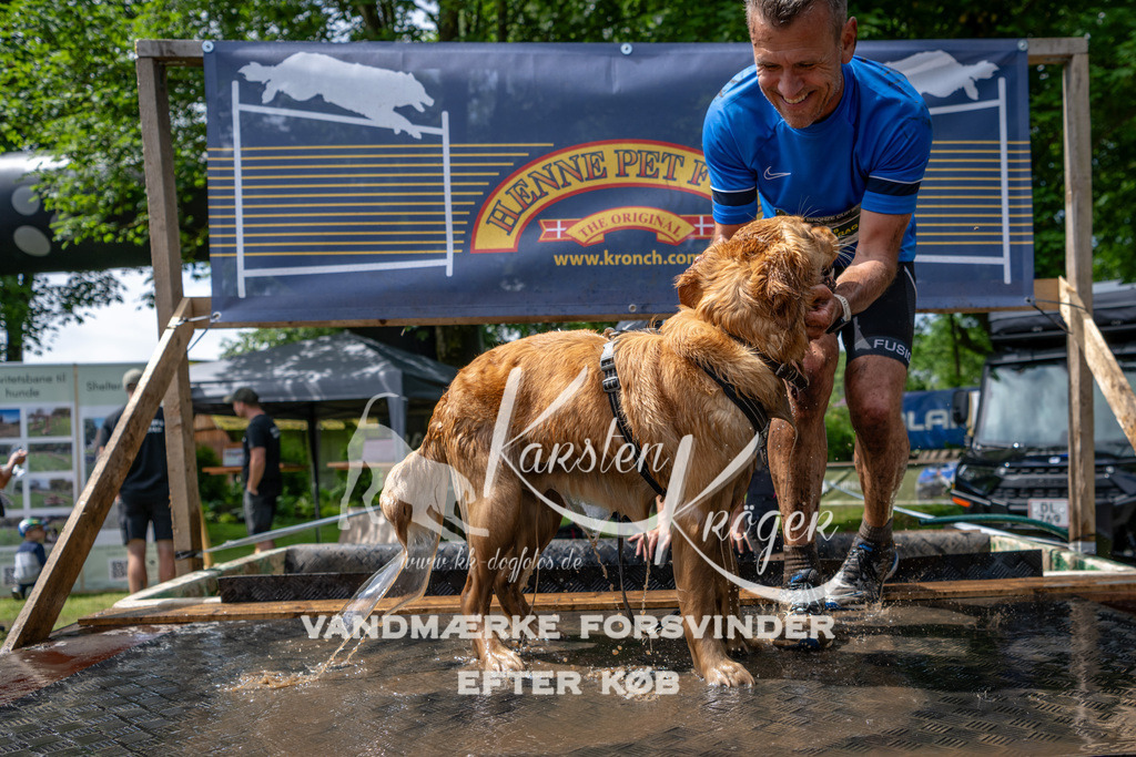 1137_ZZ94811 | kk-dogfotos