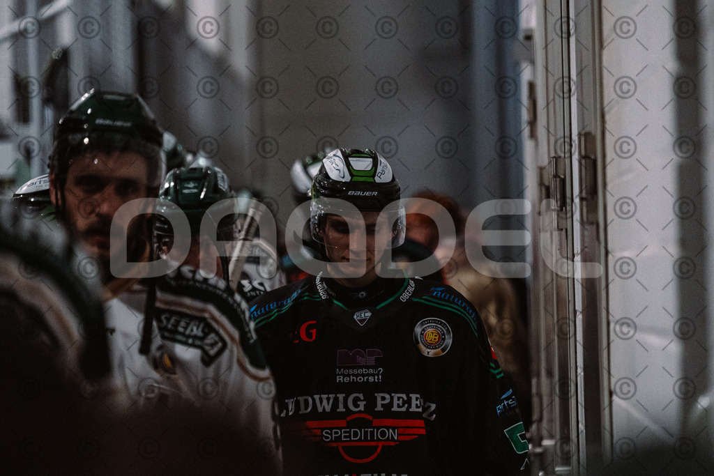 Alligators_vs_Erding_01_02_2026-54 | Höchstadt Alligators Fotogalerie: Eishockey-Action aus Franken. Professionelle Spielfotos, Portraits & Stadionbilder zum Download. Jetzt entdecken! - Realisiert mit Pictrs.com
