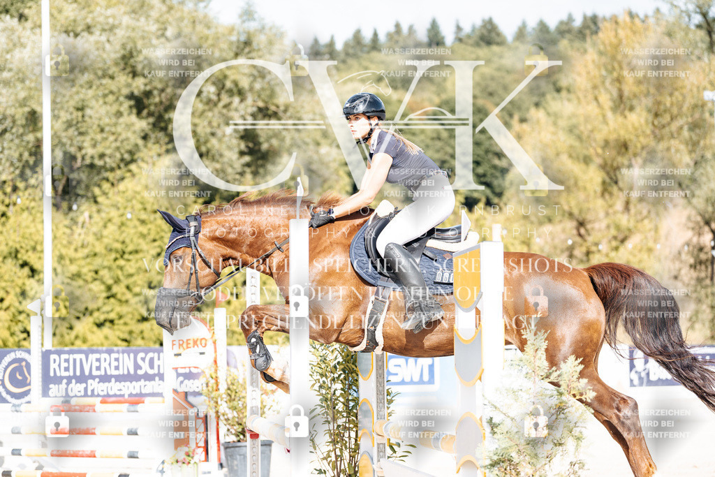 CK909110 | Turnierfotografie Pferdefotografie Trier Rheinland-Pfalz Pferdesport Reitsport Tierfotografie Sportfotografie Pferdevideo Pferdevideografie Equestrianvideography equestrianphotography  - Realisiert mit Pictrs.com
