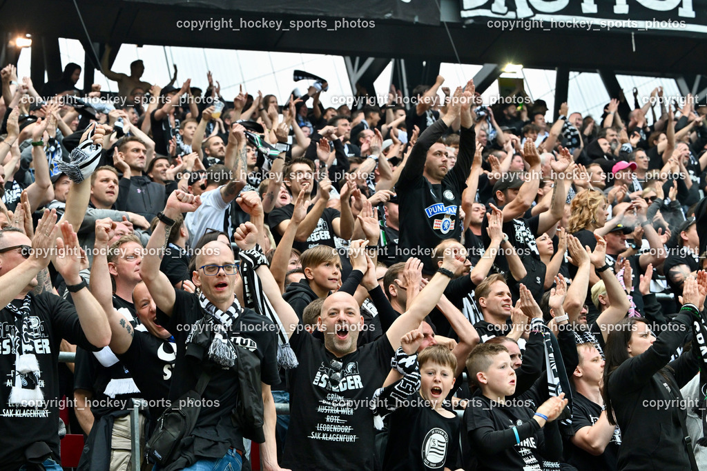 SK Puntigamer Sturm vs. SK Rapid Wien Siegerehrung, Impressionen | SK Sturm Fans, SK Puntigamer Sturm vs. SK Rapid Wien Siegerehrung, Impressionen, SK Puntigamer Sturm vs. SK Rapid Wien Siegerehrung, Impressionen am 01.05.2024 in Klagenfurt (Wörthersee Stadion ), Austria, (Photo by Bernd Stefan)
