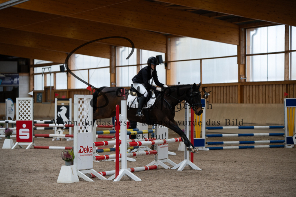 A7V03039 | Pferdefotograf