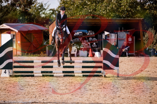 2026_10_03_Siefer-Hof_154136_Z81_58339899 | Professionelle Reitsport-, Turnier- und Eventfotografie von Robert Broda. Galerien mit ausgewählten und bearbeiteten Bildern direkt online ansehen und bestellen.