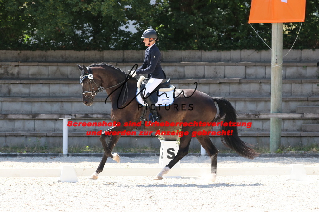 IMG_5119 | lmwpictures - Realisiert mit Pictrs.com