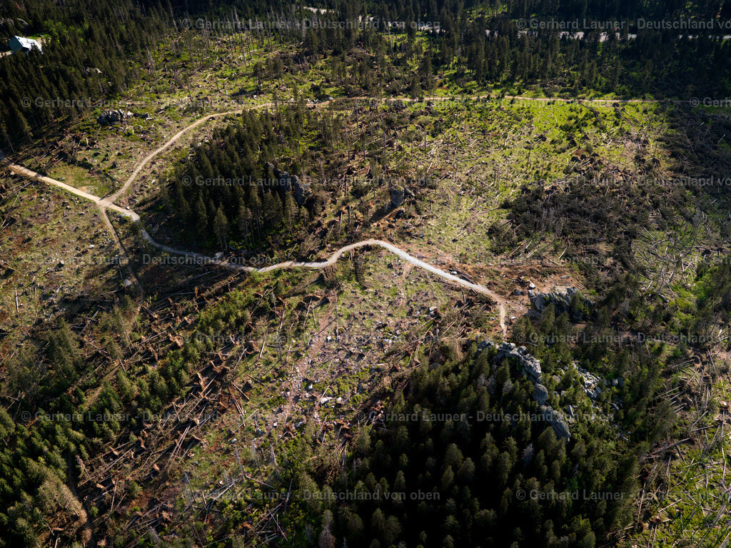 2725089 | freyung200507 596