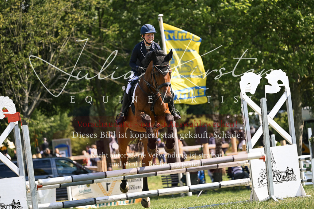DSC_8850 | Pferde- und Turnierfotografie in Westsachsen. Pferdeportraits, Auftragszeichnungen und intuitive Kunst.