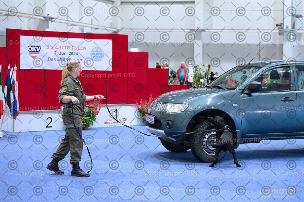 202406_ÖKV-IHA-Tulln24_DSC_2752 | proPHOTO - Realisiert mit Pictrs.com