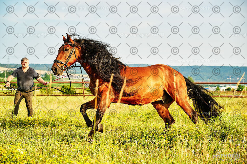 333_202406_Niki-Herodes_NZ9_0307 | proPHOTO - Realisiert mit Pictrs.com