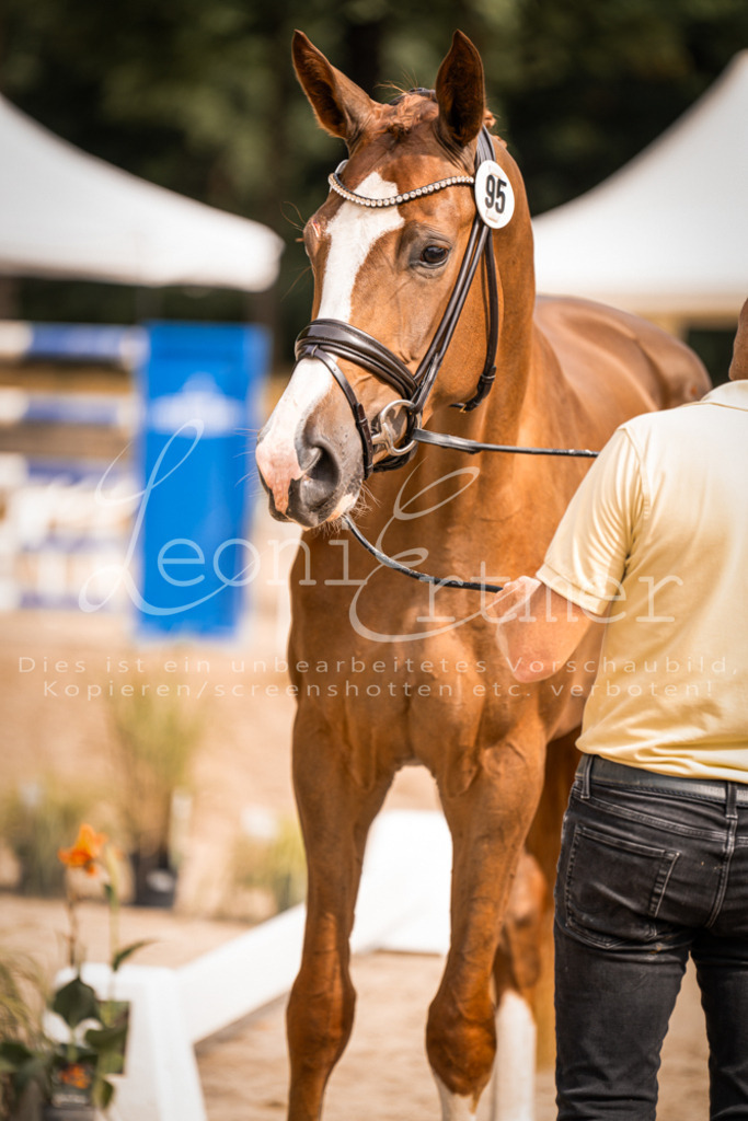 7.Fr00109 | Leoni Ertmer Photography - Realisiert mit Pictrs.com