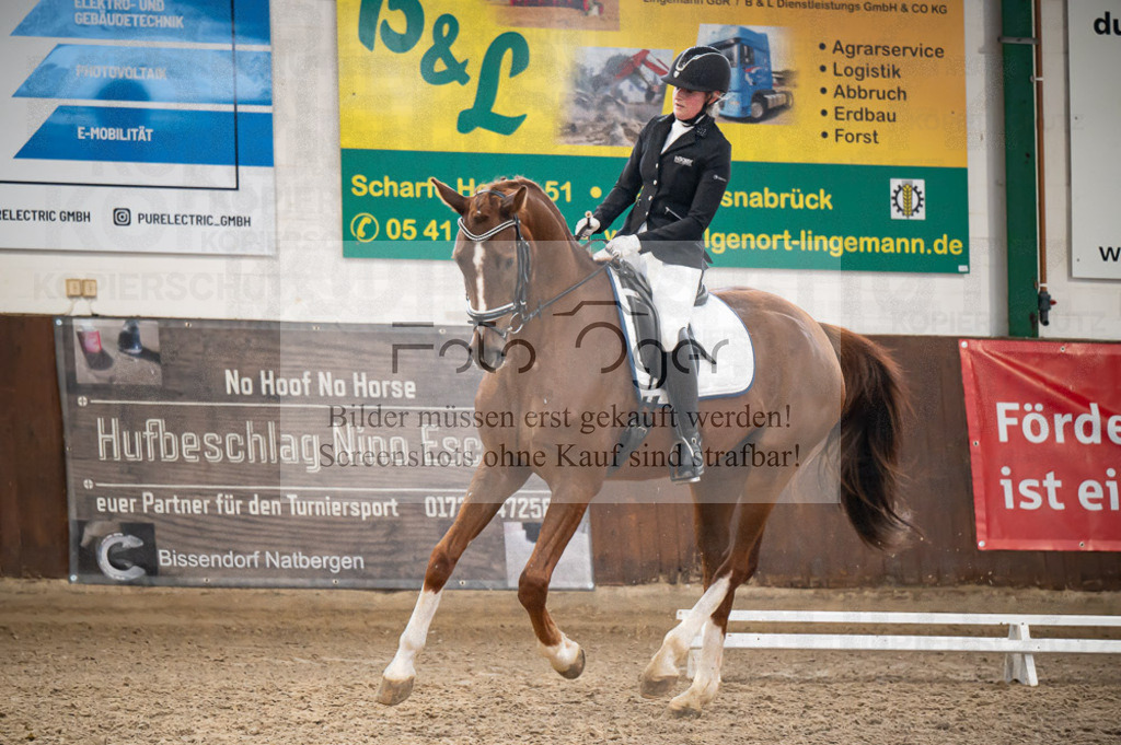 Hallenreittunier Voxtrup 2023 | Entdecke hochwertige Reitturnierfotos von Foto Oger. Professionell, emotional und authentisch – jetzt Lieblingsmomente im Shop bestellen.Deutschlandweite Turnierfotografie. - Realisiert mit Pictrs.com