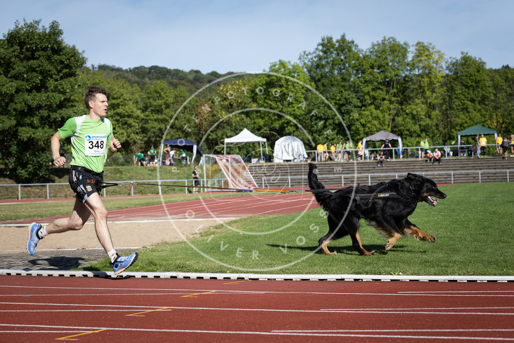 Pfotenfotografie_DV3A8915 | Hundefotografie, Tierfotograf, Pfotenfotografie, Fotoshooting Hund, Hunde Portrait, Hundesport, Hundeportraits, Heideshooting, Hunde, Sportfotograf, Hundefotograf, Turnierhundsport, THS,  - Realisiert mit Pictrs.com