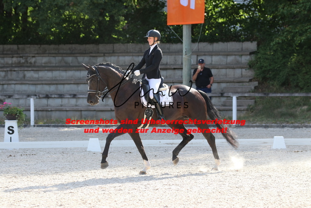 IMG_5766 | lmwpictures - Realisiert mit Pictrs.com