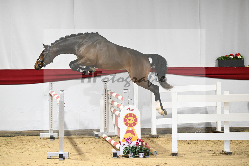 Kat-Nr. 29 v. Diaron_Meyer_63220941 | hf-fotografie - Realisiert mit Pictrs.com