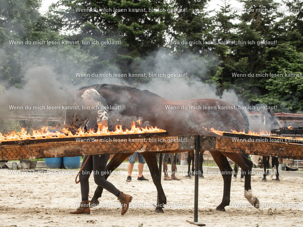 598A6673 | photographylinaismer - Realisiert mit Pictrs.com