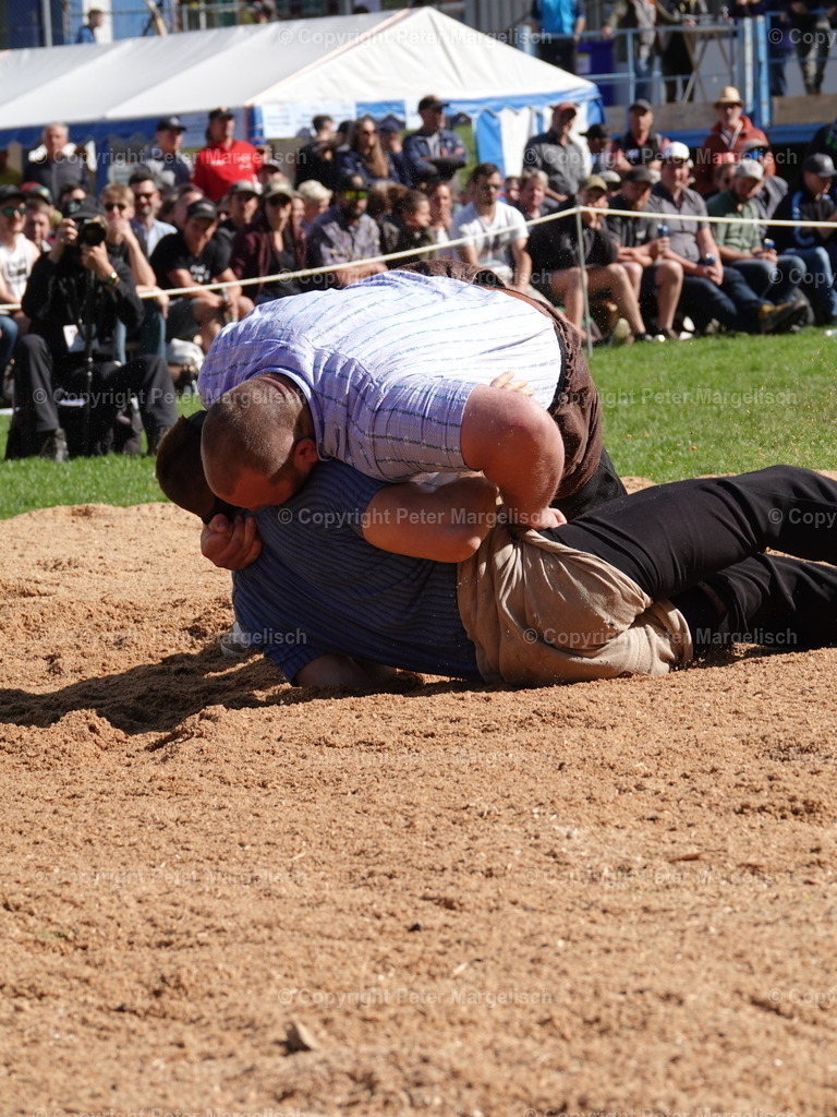 DSC07095 | Schwingen - Realisiert mit Pictrs.com