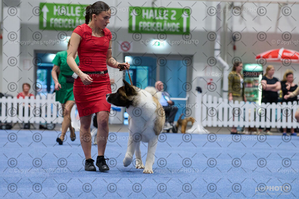 202406_ÖKV-IHA-Tulln24_DSC_3314 | proPHOTO - Realisiert mit Pictrs.com