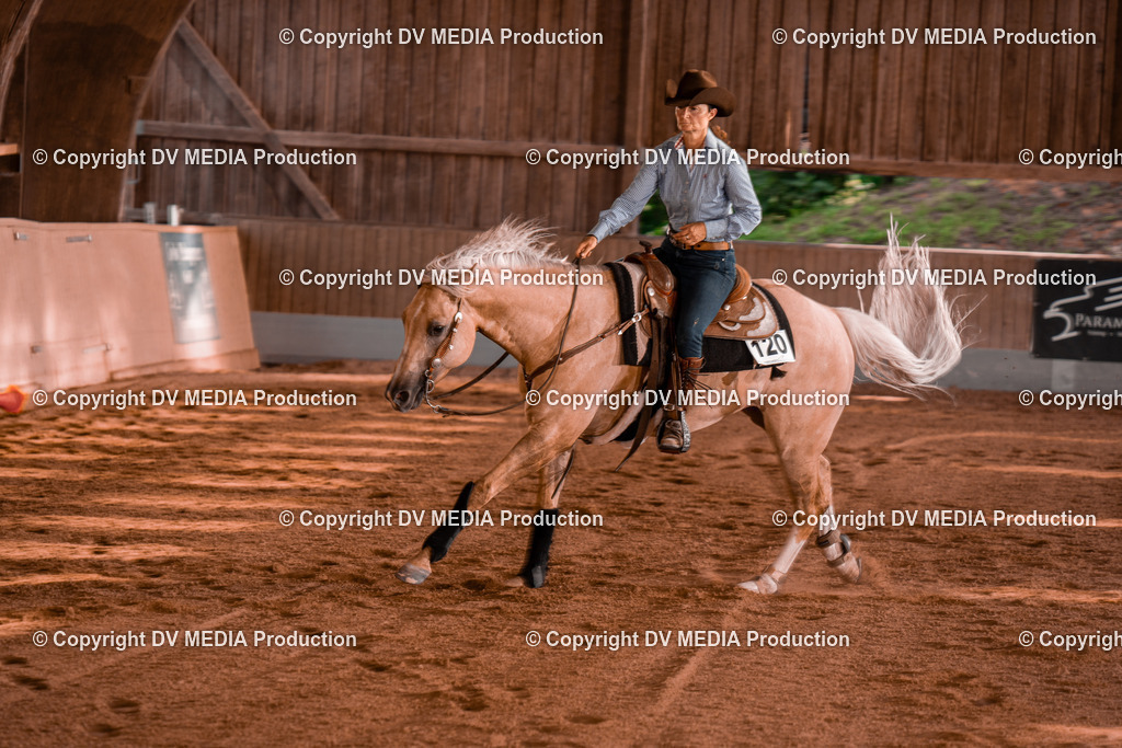 NE201247 | dv-media-shop - Realisiert mit Pictrs.com