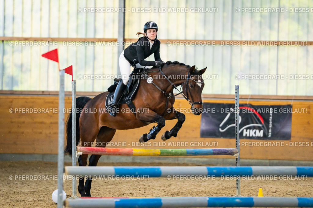 DSC00612 | Pferdegrafie