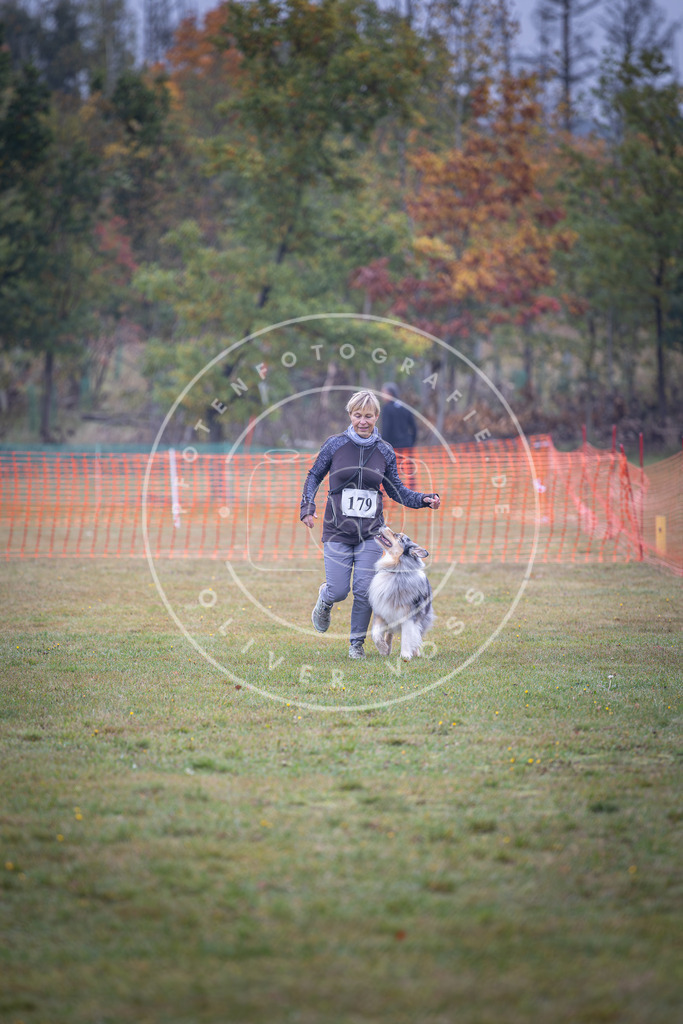 Pfotenfotografie_DV3A9499 | Hundefotografie, Tierfotograf, Pfotenfotografie, Fotoshooting Hund, Hunde Portrait, Hundesport, Hundeportraits, Heideshooting, Hunde, Sportfotograf, Hundefotograf, Turnierhundsport, THS,  - Realisiert mit Pictrs.com