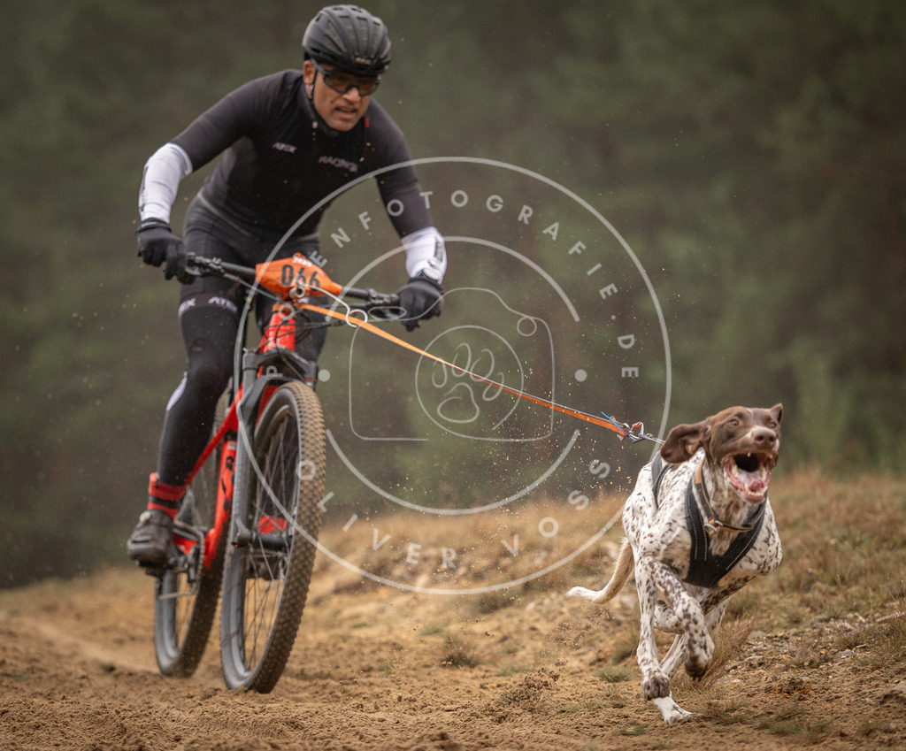 Pfotenfotografie_DV3A2503 | Hundefotografie, Tierfotograf, Pfotenfotografie, Fotoshooting Hund, Hunde Portrait, Hundesport, Hundeportraits, Heideshooting, Hunde, Sportfotograf, Hundefotograf, Turnierhundsport, THS,  - Realisiert mit Pictrs.com