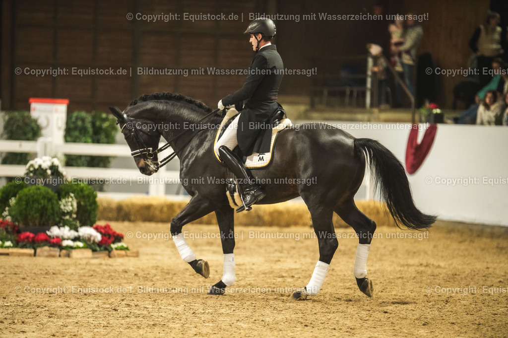 20240302_Hengstvorstellung_Marbach_TOMsPiC_1472 | equistock