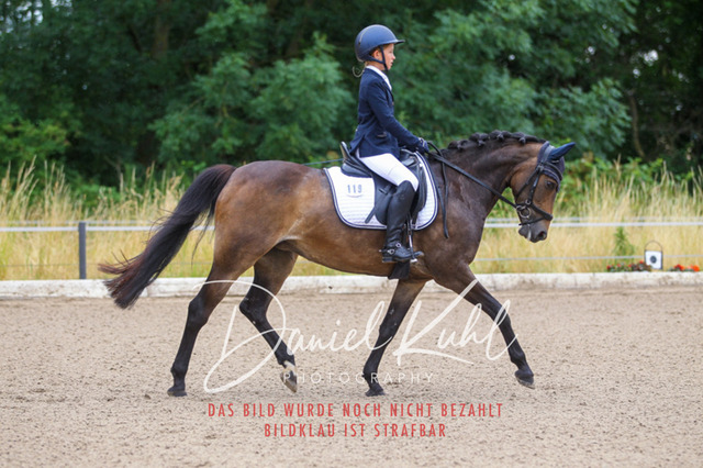 DKP47082 | Turniersportfotografie; Pferdefotografie; Dressurfotografie