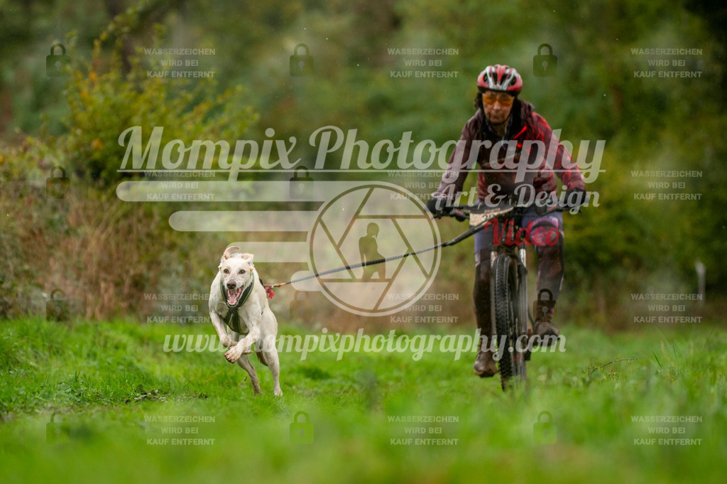 TSB_2023_E6_Bike-27 | PayLife