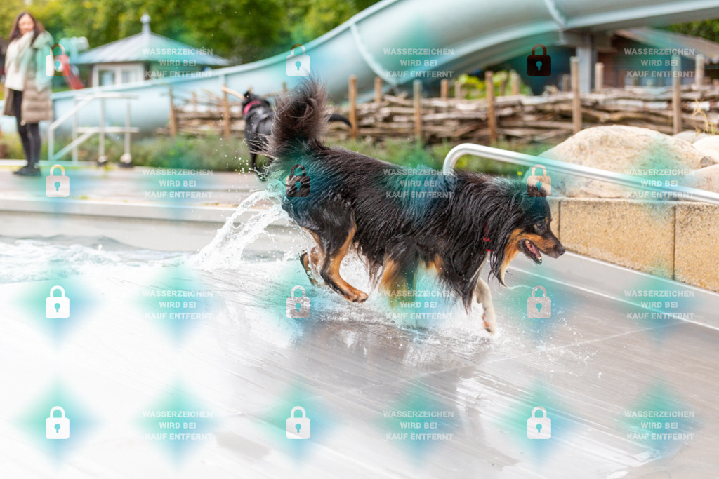 _HP_6185_1000o | HetPix, HetPix Fotodesign, Fotografie, Fotodesign, Webshop, Sportfotografie, Portraitfotografie, Onlineshop, Sportfotografie, Polch, Motorsportfotografie, Eventfotografie