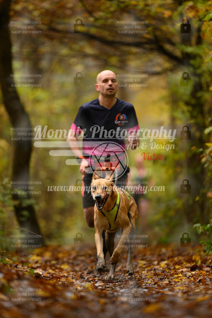 MompixPhotography_CD7S_DI_CCL-1 | mompixphotography