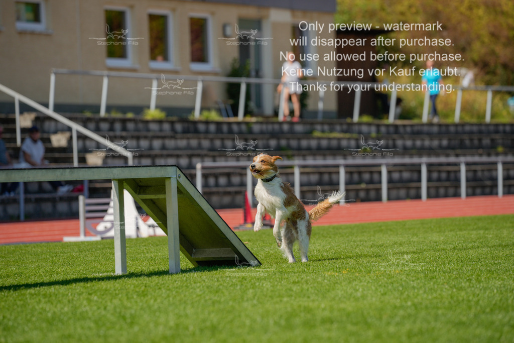 Sonntag_VK Hindernis (483 von 671) | stephaniefillaphotographie - Realisiert mit Pictrs.com