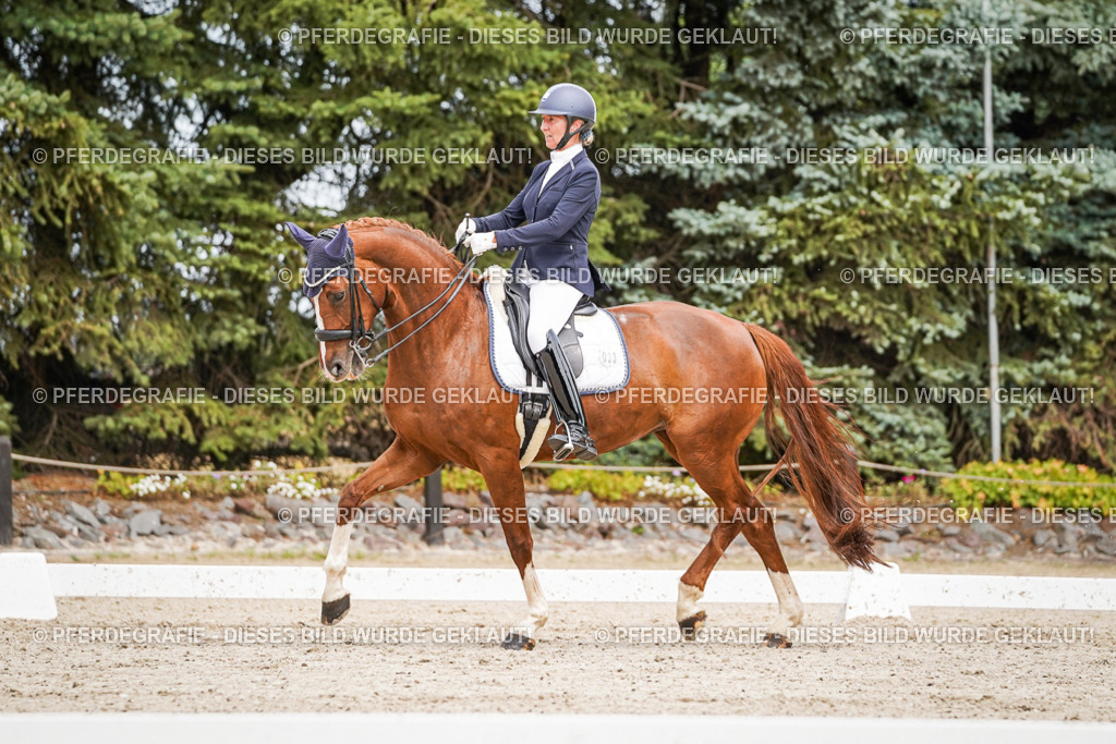 DSC05178 | Pferdegrafie