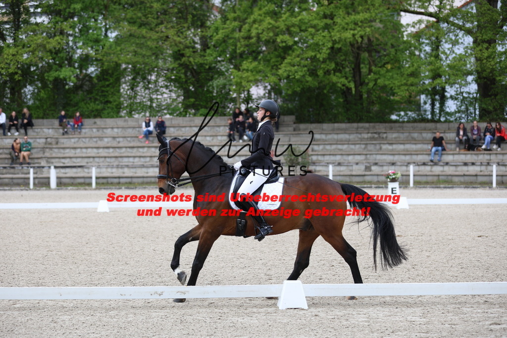 A40A4122 | lmwpictures - Realisiert mit Pictrs.com