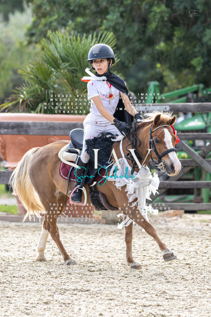 IMG_2419 | s-jay-photography - Realisiert mit Pictrs.com