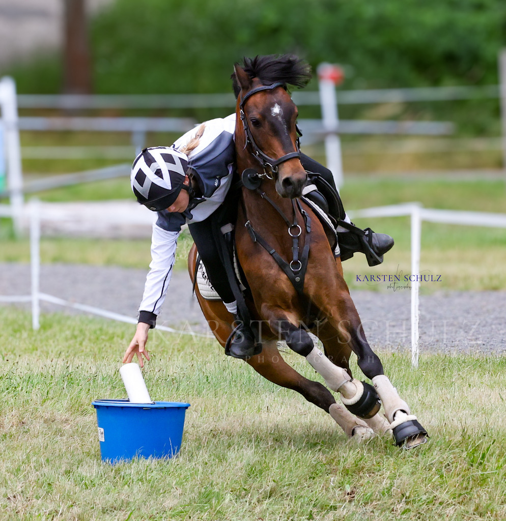 1B3A1296 | Reitsport Reiten