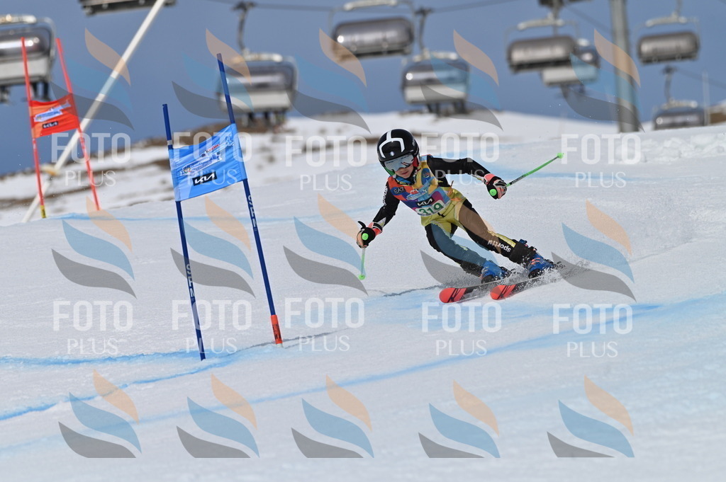 BGV_6309 | holidayphoto