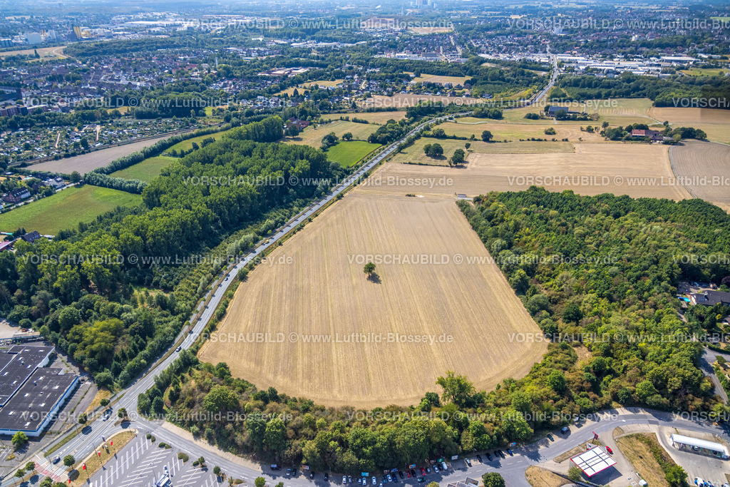 Hamm220809604Heessen | Luftbild, Baum auf einem Feld, Warendorfer Straße, Heessen, Hamm, Ruhrgebiet, Nordrhein-Westfalen, Deutschland