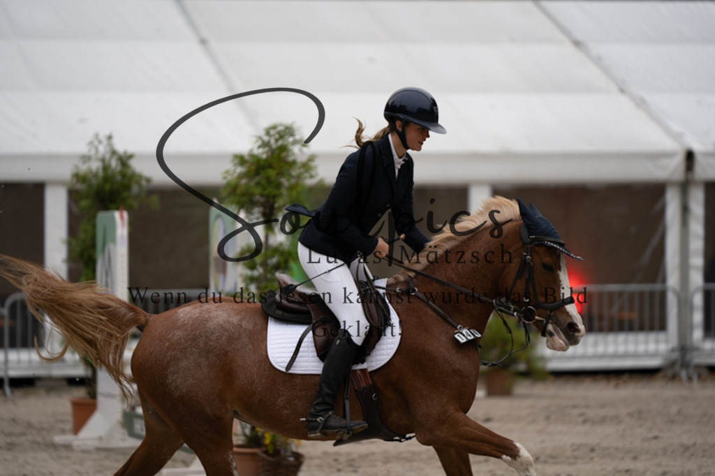 A7V00087 | Pferdefotograf