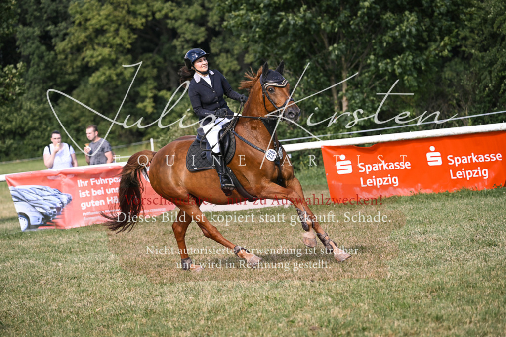 DSC_1373 | Pferde- und Turnierfotografie in Westsachsen. Pferdeportraits, Auftragszeichnungen und intuitive Kunst.