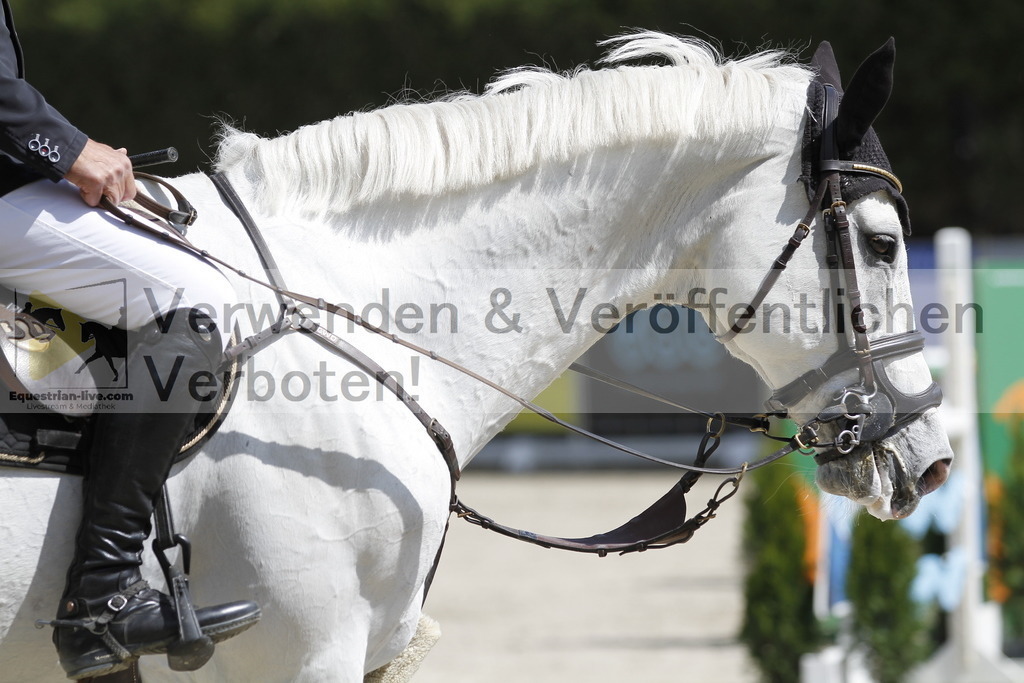 _MG_7133 | equestrian-live-com