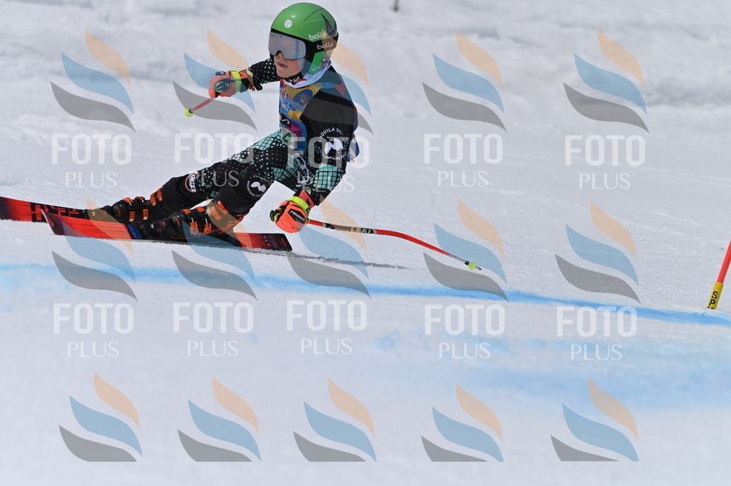 BGV_5250 | holidayphoto