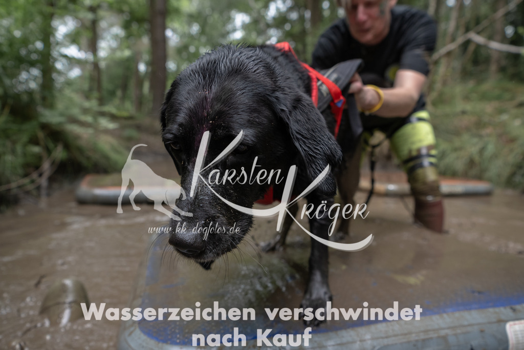 1338_ZZ95070 | kk-dogfotos